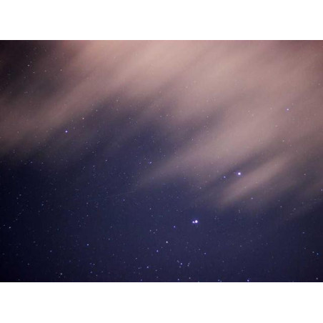 Synergistic Wool Bench fr-FR